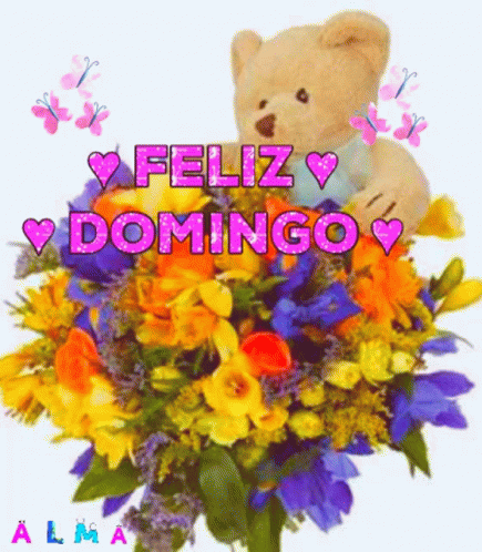 Feliz Tarde De Domingo 435 X 498 Gif GIF