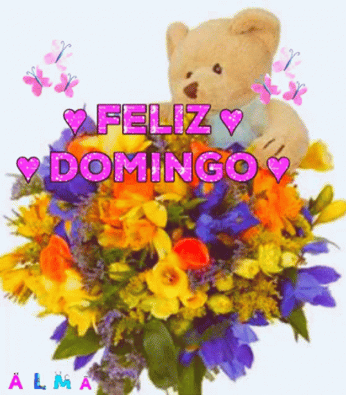Feliz Tarde De Domingo GIF