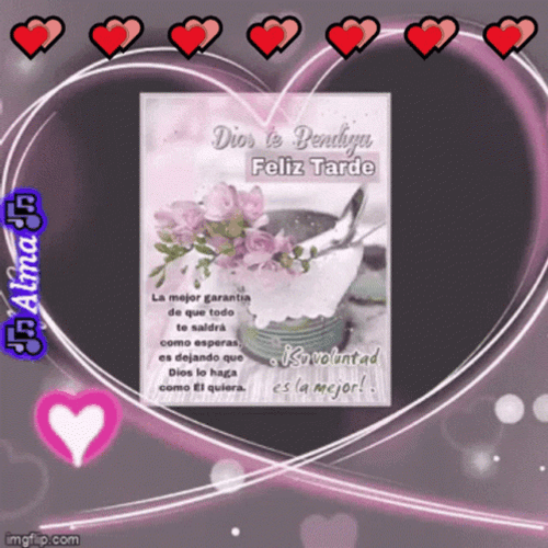 Feliz Tarde De Domingo GIF