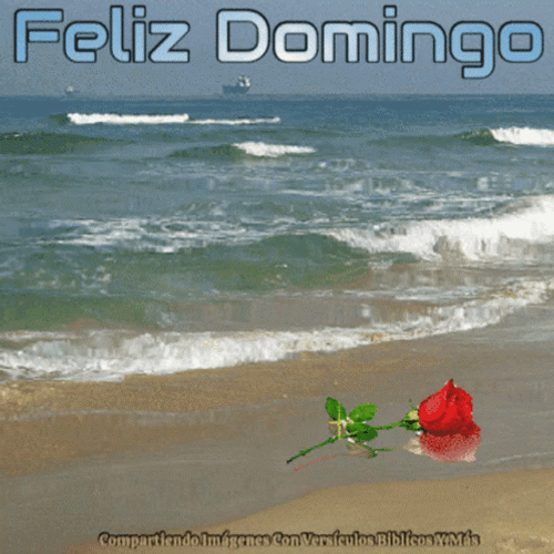 Feliz Tarde De Domingo GIF