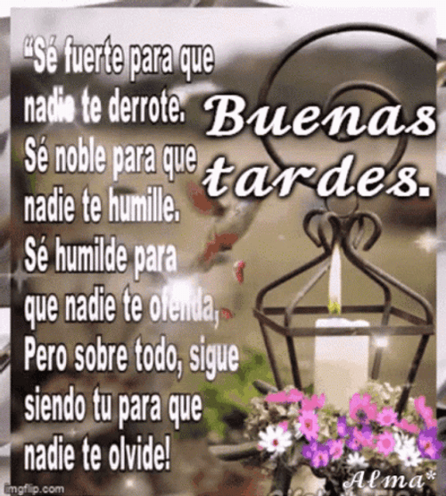 Feliz Tarde De Domingo GIF