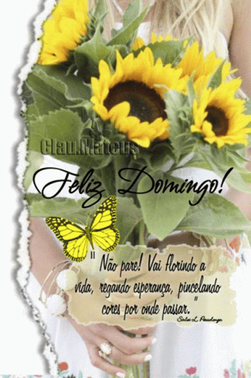 Feliz Tarde De Domingo GIF