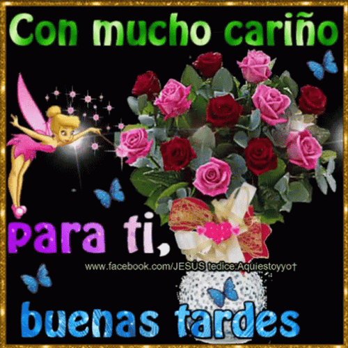 Feliz Tarde De Domingo GIF
