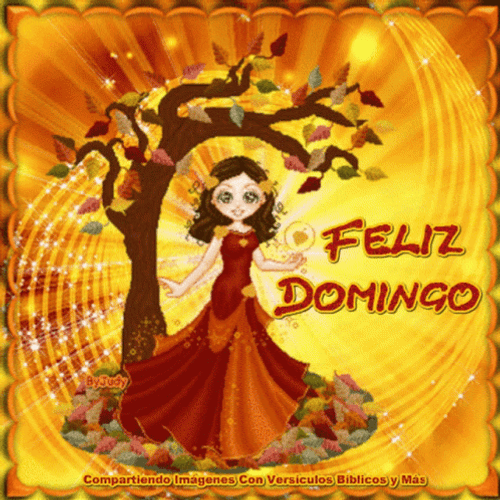 Feliz Tarde De Domingo GIF