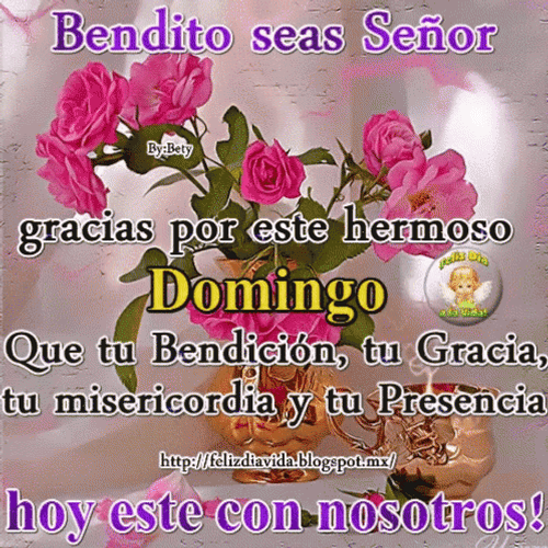 Feliz Tarde De Domingo GIF
