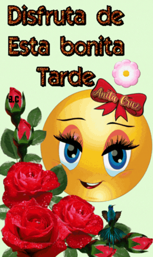 Feliz Tarde De Domingo GIF