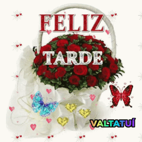 Feliz Tarde De Domingo GIF