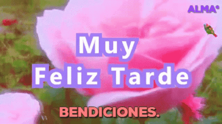 Feliz Tarde GIF