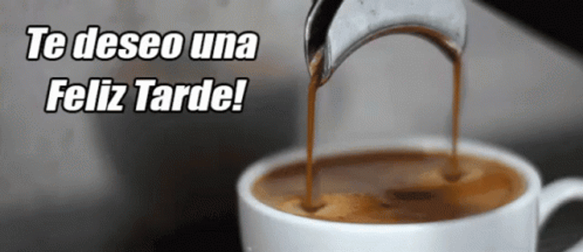Feliz Tarde GIF