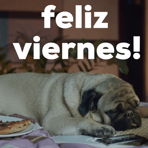 Feliz Viernes Dog Sleeping GIF
