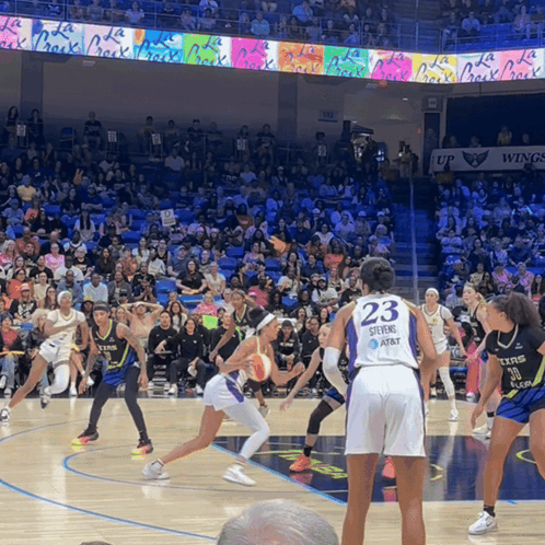 Female Basketball Player Number 23 GIF