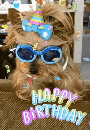 Female Pup Happy Birthday Confetti GIF