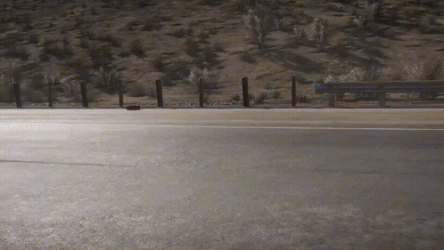 Fence Along Highway With Trees