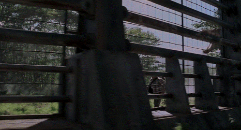Fence With Field And Trees Behind GIF