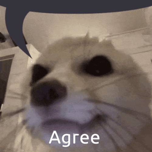 Fennec Fox Agreed GIF