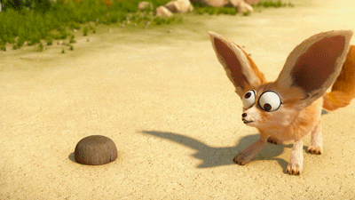 Fennec Fox Big Eyes Funny Animal GIF