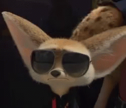 Fennec Fox Finnick Dark Shades Zootopia GIF
