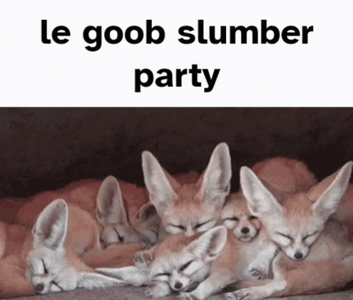 Fennec Fox Slumber Party GIF