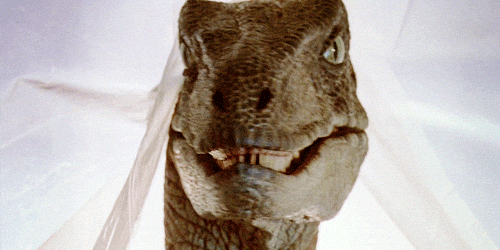 Ferocious Brown Velociraptor Hunt GIF