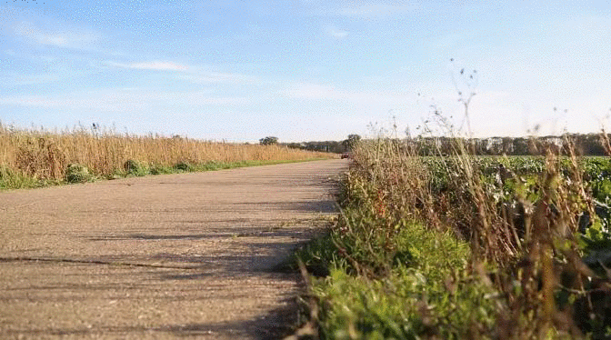 Ferrari 288 Gto Country Drive GIF