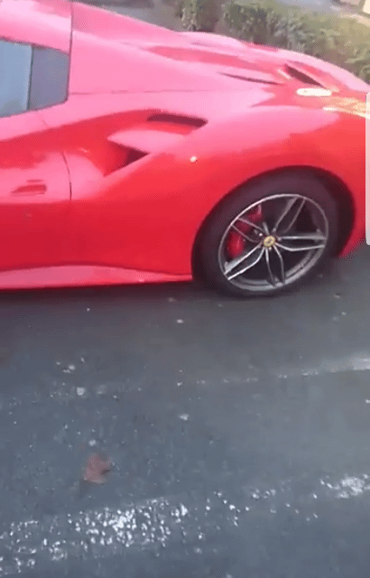 Ferrari Handicapped Parking GIF