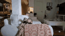 Ferret Heck Meme GIF