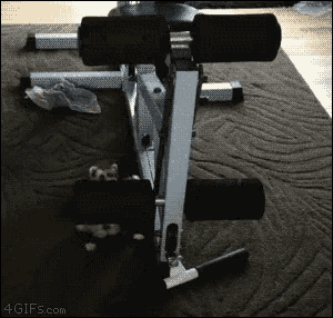 Ferret Working Out GIF