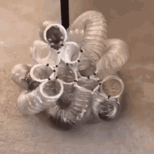 Ferrets Playing In Holes GIF