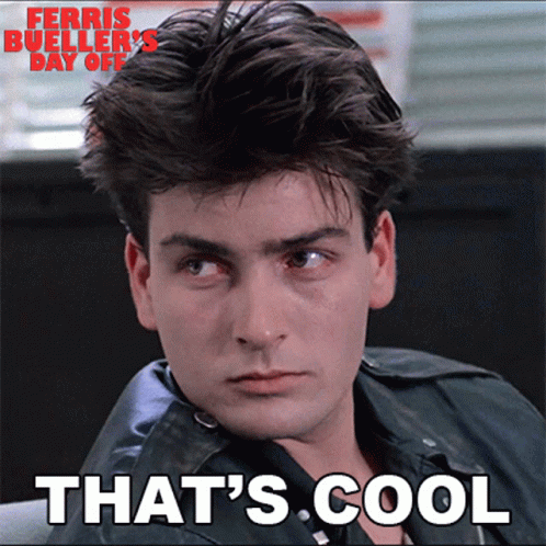 Ferris Bueller's Day Off Poster Cool GIF