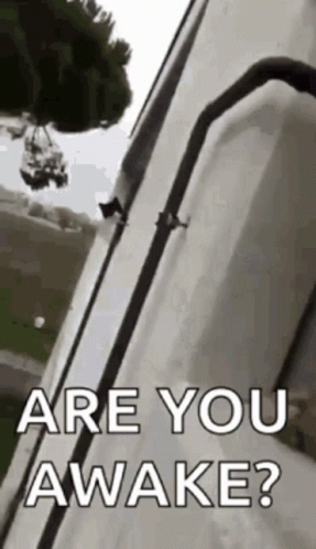 Ferris Wheel With Are You Awake