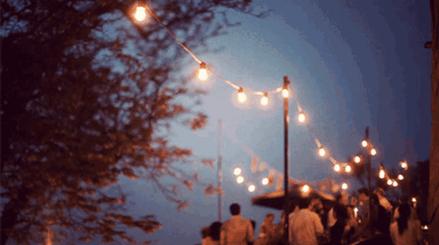Light GIFs GIFDB