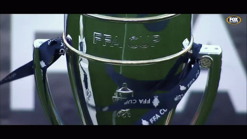 FFA Cup Trophy with Blue Ribbon
