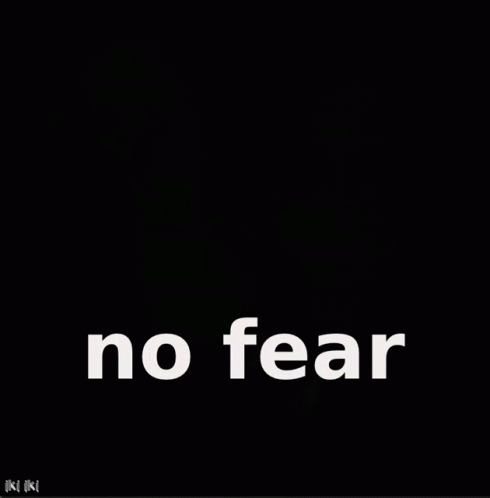 Ffxiv No Fear One Fear Chocobo GIF