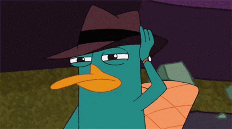Fictional Character Perry The Platypus Its Touching Hat GIF