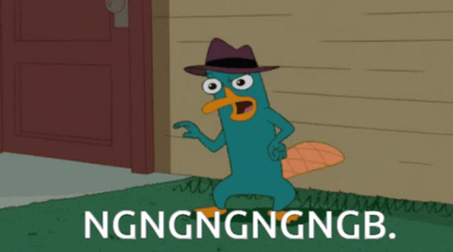 Fictional Character Perry The Platypus Teasing Ngb GIF