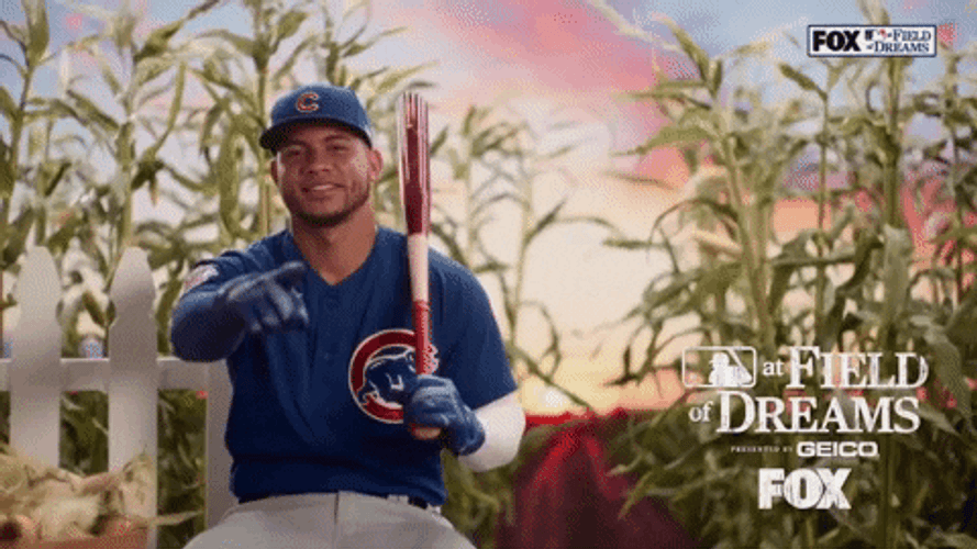 Field Of Dreams Baseball Chicago Cubs GIF