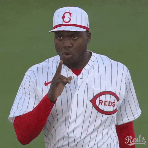 Field Of Dreams Baseball Cincinnati Reds GIF
