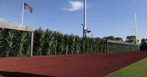 Field Of Dreams Baseball Team Walking GIF