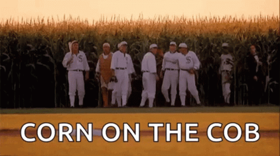 Field Of Dreams Ray Liotta GIF