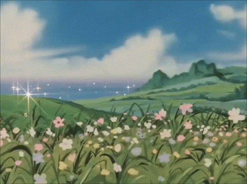 Field of Flowers With Blue Sky