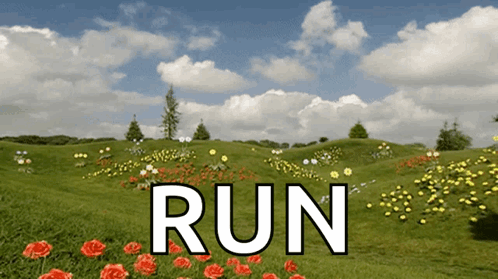 Field of Flowers with Run