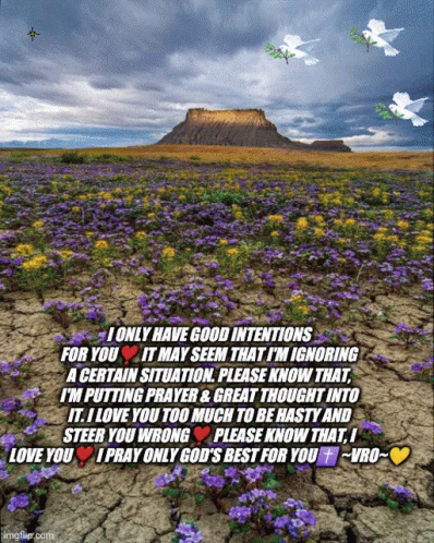Field of Purple and Yellow Flowers