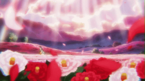 Field Of Red And White Flowers GIF