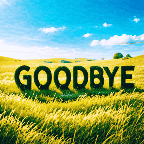 Field Of Tall Grass With Goodbye GIF
