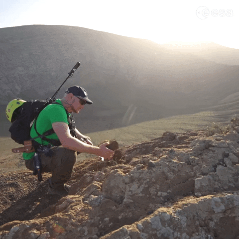 Field Work Pangea GIF