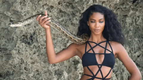 Fierce Chanel Iman Snake GIF