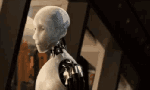 Fierce Irobot Firmly Said No GIF