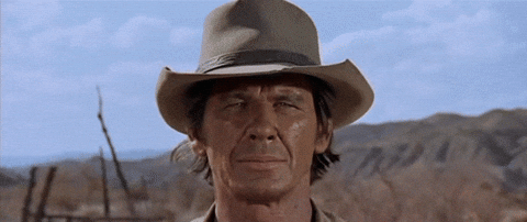 Fierce Stare Down Charles Bronson GIF