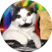 Fiesta Cat With Mustache GIF