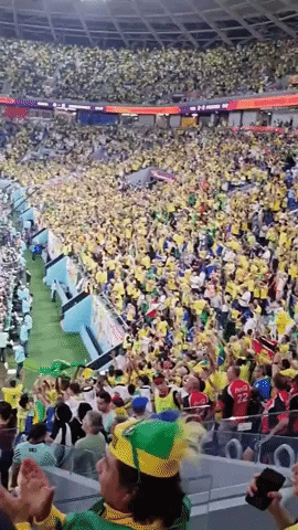 Fifa World Cup Audience Perspective GIF